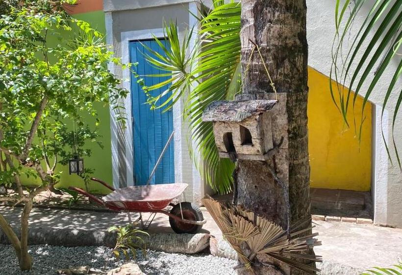 بنسيون A Casa Do Vizinho