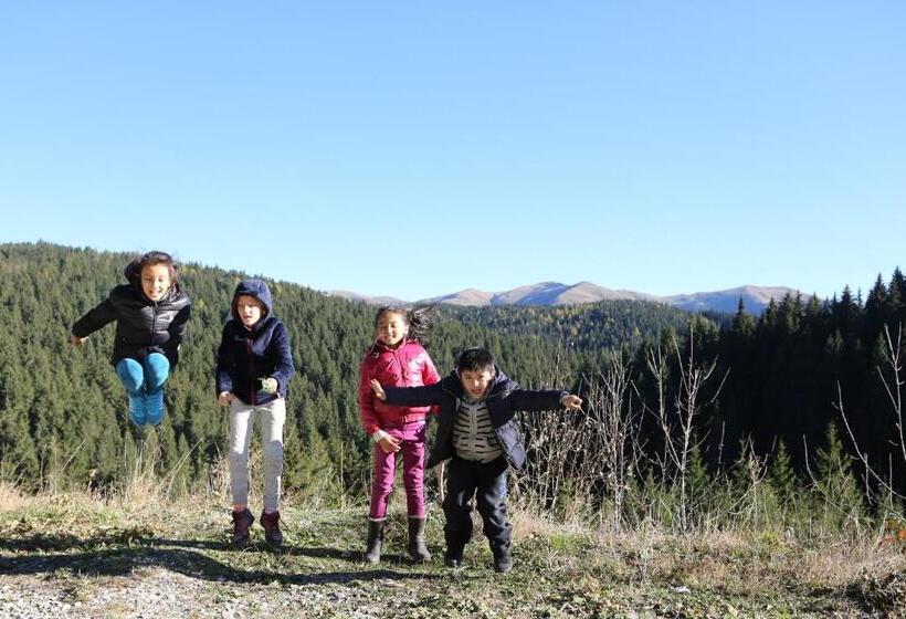 بنسيون Vila Evergreen