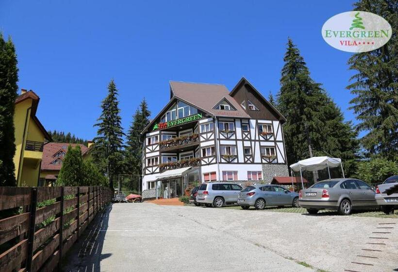 بنسيون Vila Evergreen