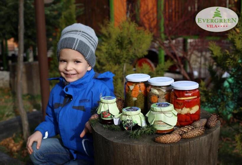 بنسيون Vila Evergreen