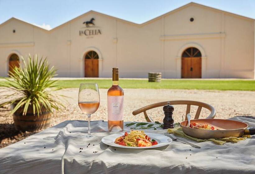 فندق فئة نجمة واحدة Posada La Celia