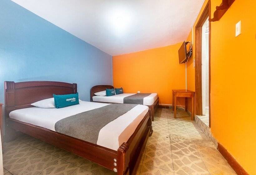 هتل Ayenda Cafetal Arami