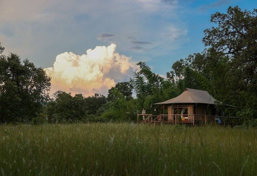 ホテル The Untamed Bandhavgarh By Tutc