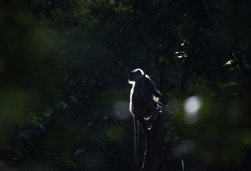 ホテル The Untamed Bandhavgarh By Tutc