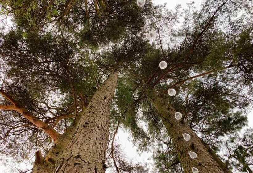 Lovely Semi Rural Caravan & Hot Tub   Sleeps Fam 6