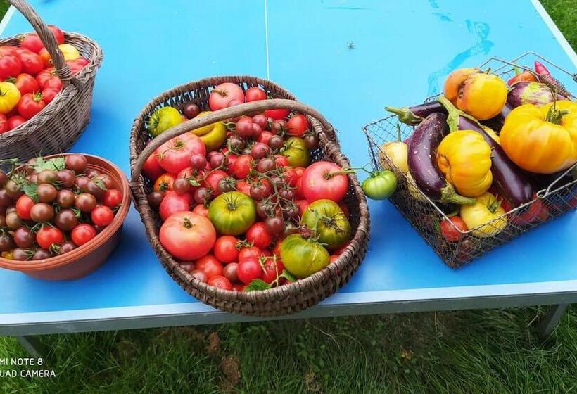 بنسيون La Ferme Du Tilleul