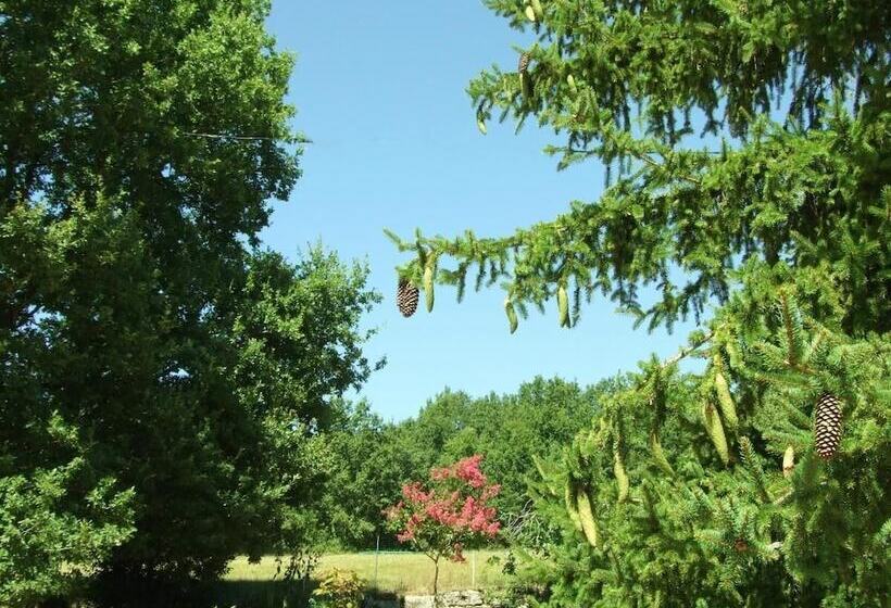 פנסיון Les Feuillantines