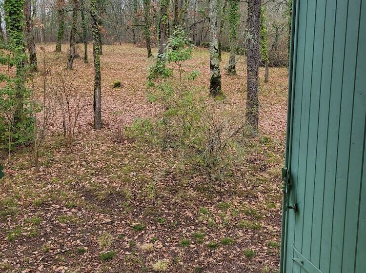 פנסיון Les Feuillantines