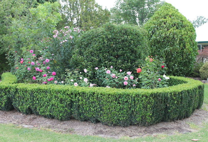 Lynrose Place