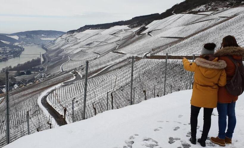 Jufa Hotel Bernkastel Kues