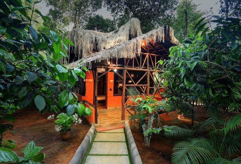 Evergreen County Resort Coorg   A Coffee Plantation Retreat
