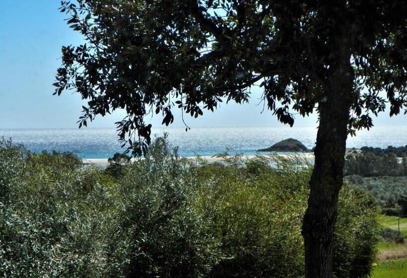 B&b Bithia