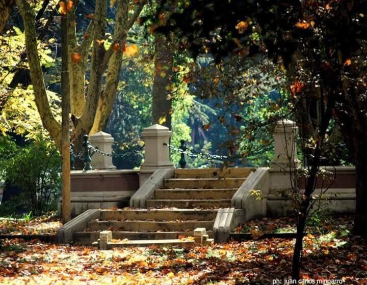 مبيت وإفطار Elena Hotel Boutique