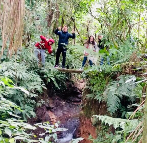 住宿加早餐  Quinta Da Gavea   Hospedaria E Quintal Criativo