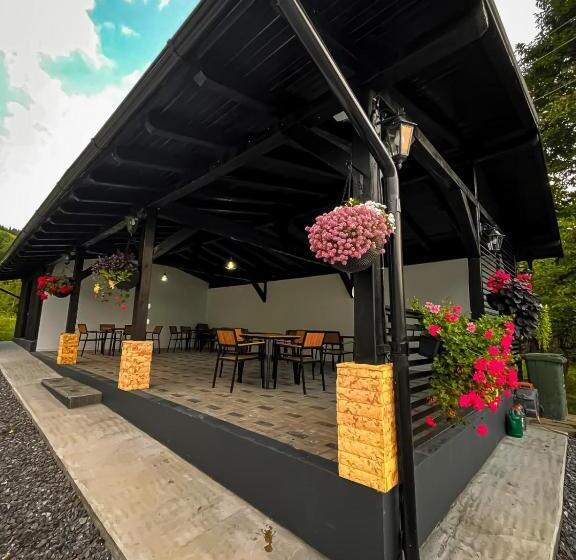 膳宿费 Flori De Tei Maramures