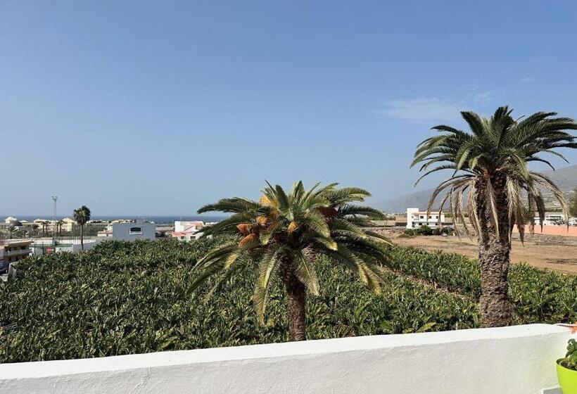 Alcalá Retreat: Ocean View & Modern Comfort