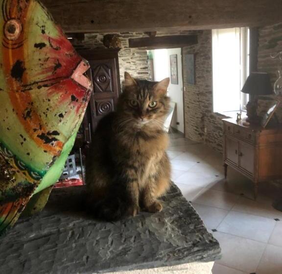 住宿加早餐  La Petite Seigneurie De Lourmel