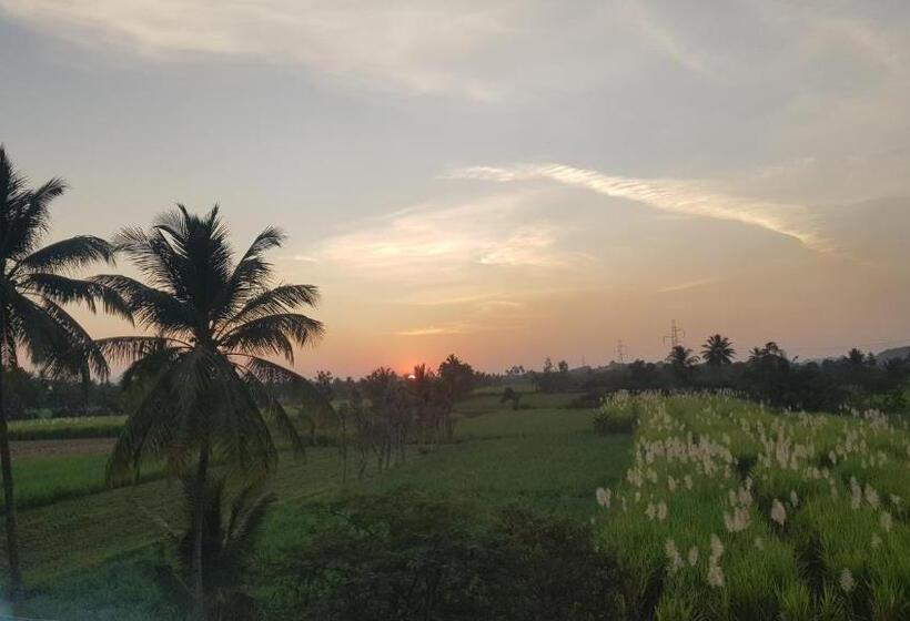膳宿费 Padmaa Hampi Echo Villa