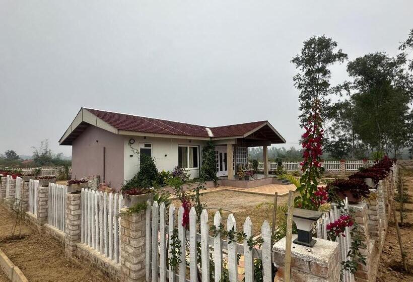 ホテル Nature‘r Nest Homestead