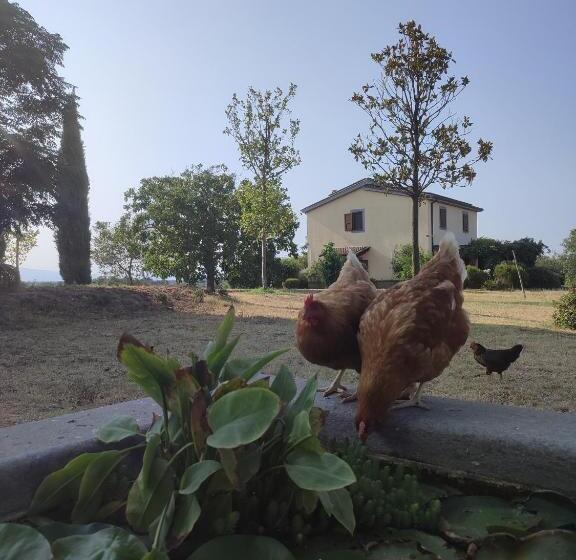 ホテル Tenuta La Castelluzza