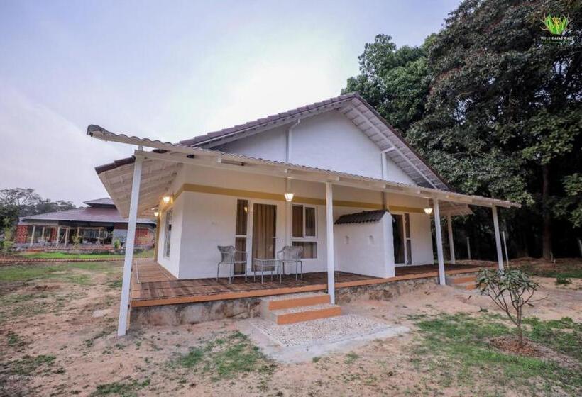 Отель Wild Kasarwadi