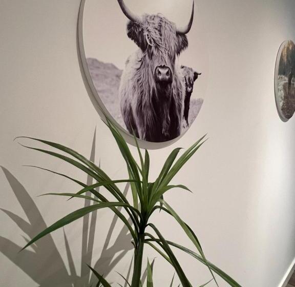 تختخواب و صبحانه Waterside Voorthuizen