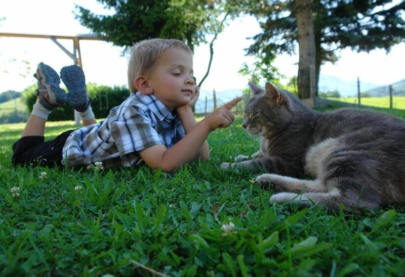 ペンション Brettmaisserhof