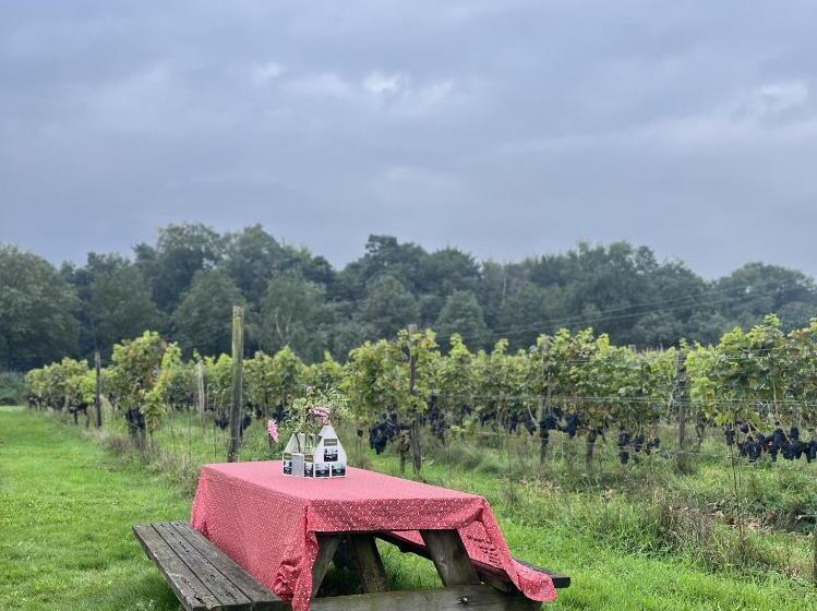 צימר Erve Zonnehoeve