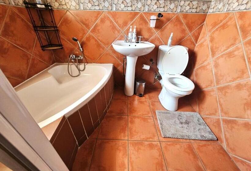פנסיון De Oude Sleeper Inn 1