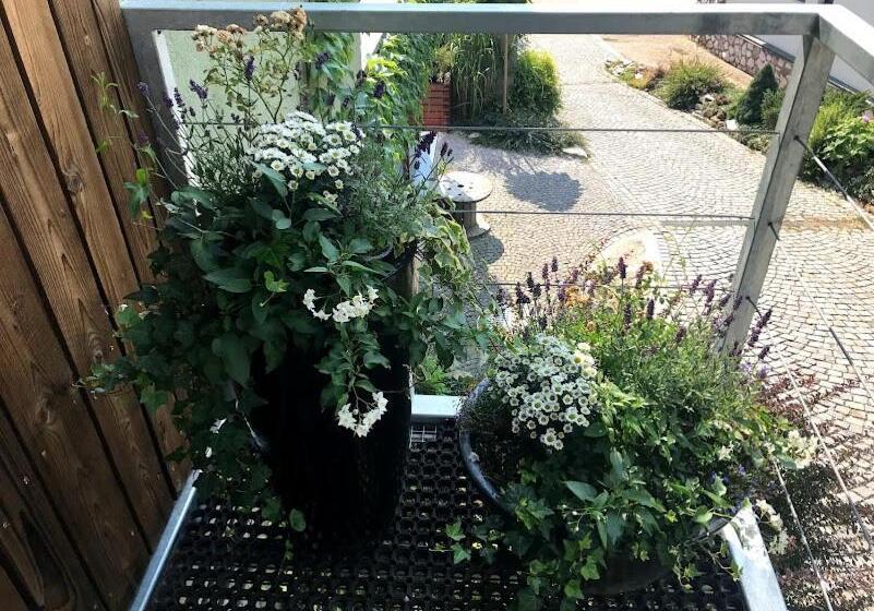 پانسیون Dům Alois   Penzion Pro Děti A Jejich Rodiče