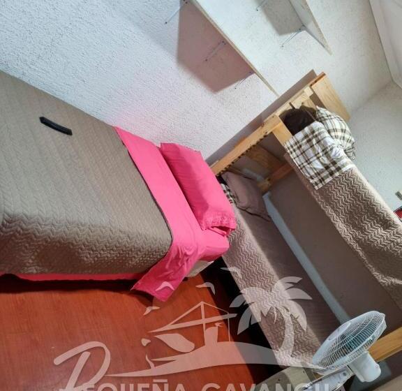 Pensão Pequeña Cavancha Hostal