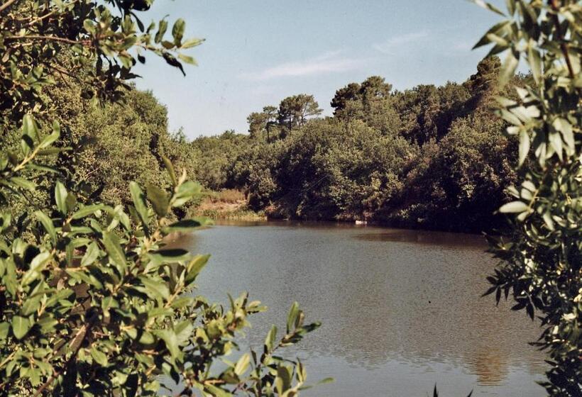 ベッドアンドブレックファースト Abbaye De Capservy