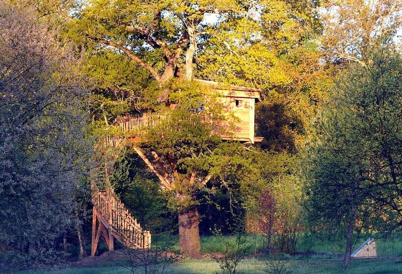 צימר La Cabane Du Vieux Chêne