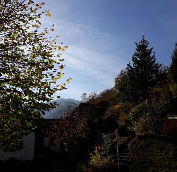 住宿加早餐  Les Volets Bleus Alsace Vosges