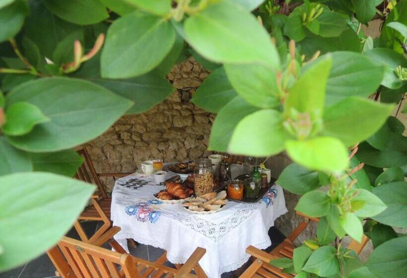 ベッドアンドブレックファースト Maison D'hôtes Les Volets Verts Et Sa Brocante