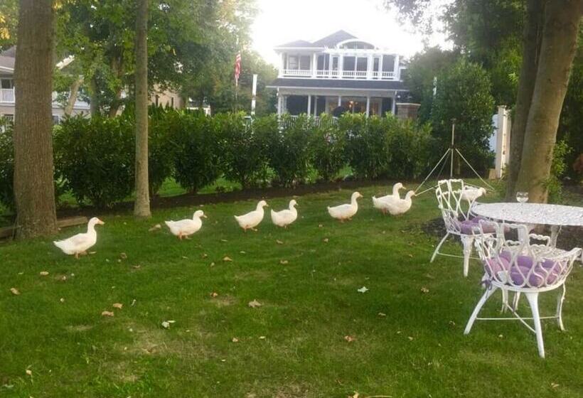 مبيت وإفطار Walden On The Pond