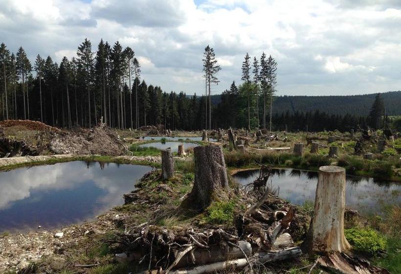 ホテル Gasthof Zuck