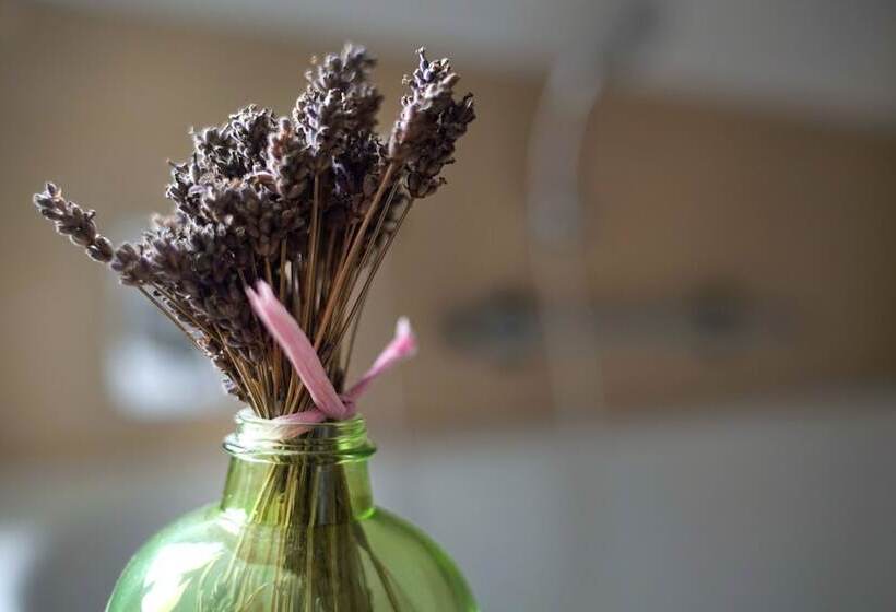 ホテル Pension & Seminarhaus Haus Am Fluss