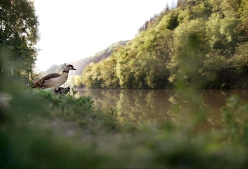 ホテル Pension & Seminarhaus Haus Am Fluss