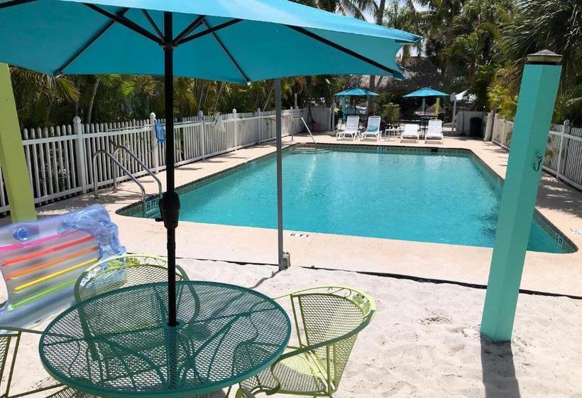 فندق My Sarasota Getaway