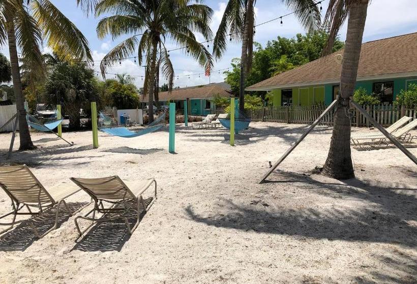 فندق My Sarasota Getaway