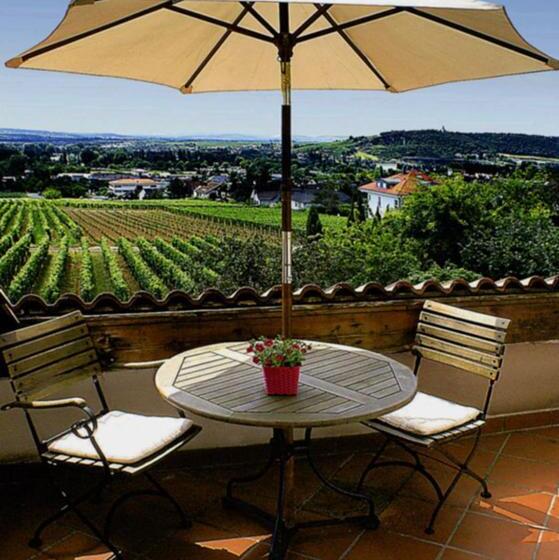 酒店 Weingut Magdalenenhof