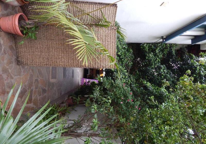 بنسيون Jacaranda Guesthouse