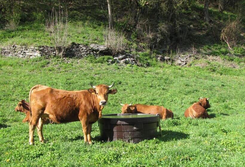 בית מלון כפרי Epicéa Lodge Hôtel