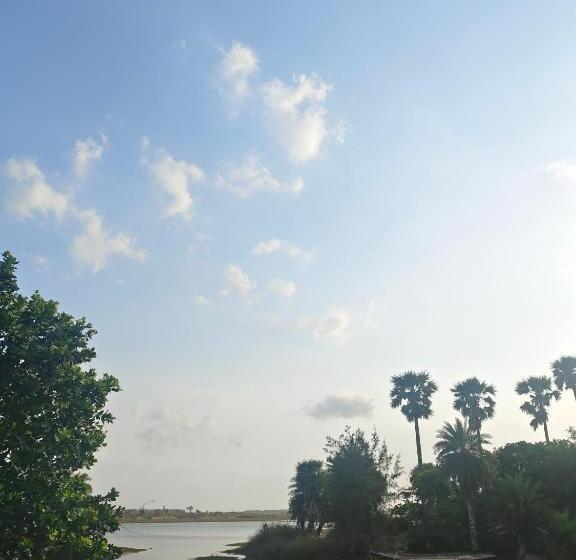 בית מלון כפרי Wild Dunes Konark