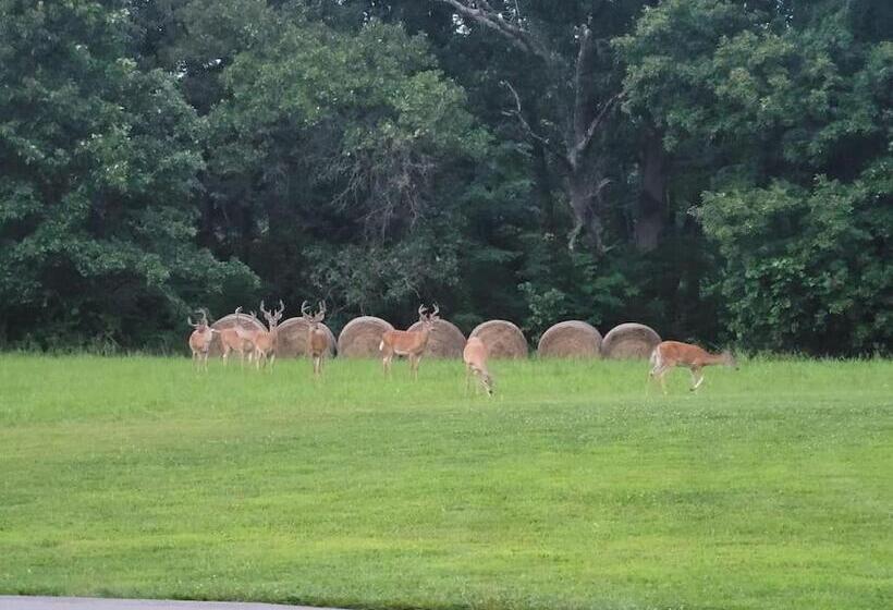 膳宿费 Deer Run Estate Llc