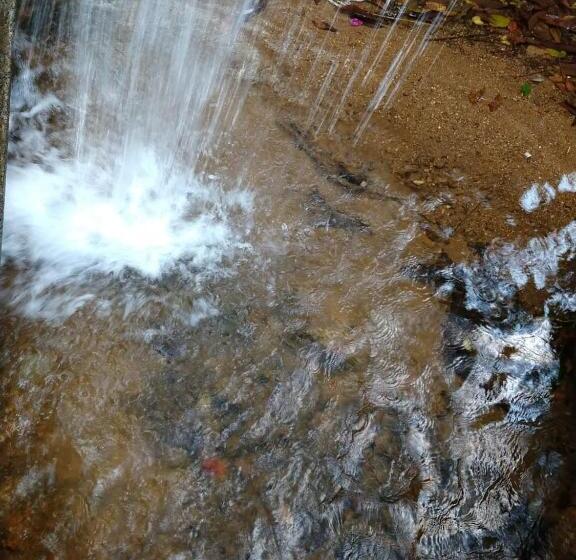 ペンション Recanto Das Pedras
