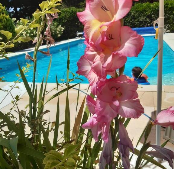 Villa La Passione B&b