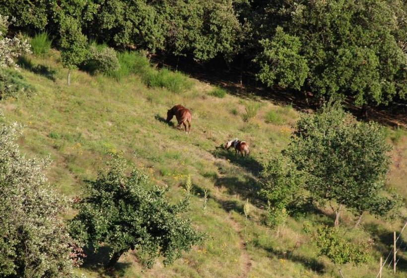 ベッドアンドブレックファースト Chambres D'hôtes Vue Panoramique Proche De Carcassonne