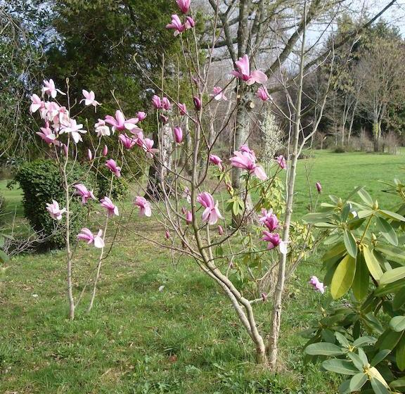 مبيت وإفطار Domaine De Gaudon